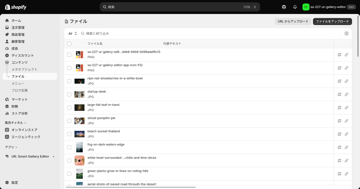 Shopify のコンテンツ > ファイル画面