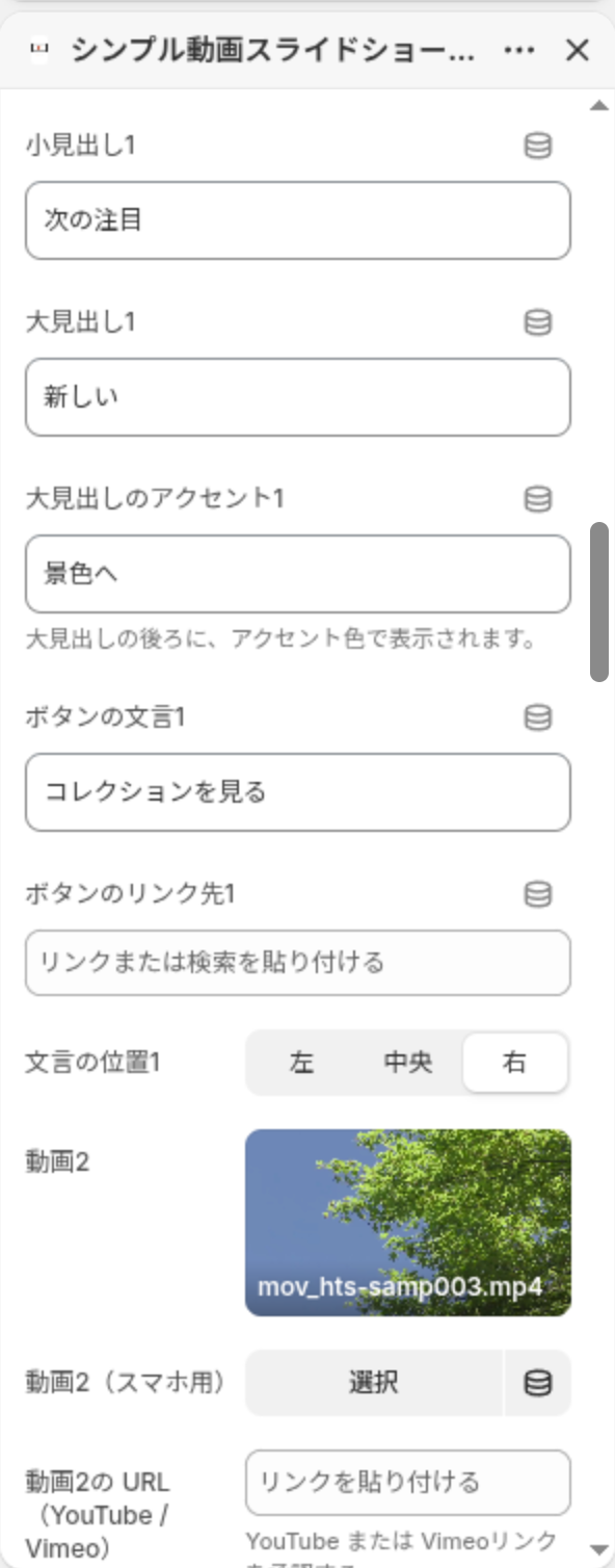 日本語表示のテーマエディタで開いた動画設定のパネル